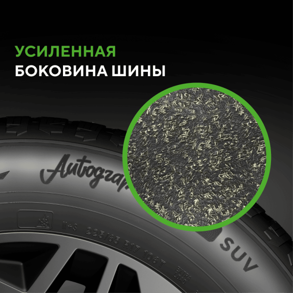 Шина Ikon Tyres 255/55R20 110T XL Autograph Ice 9 SUV Studded (шип.)