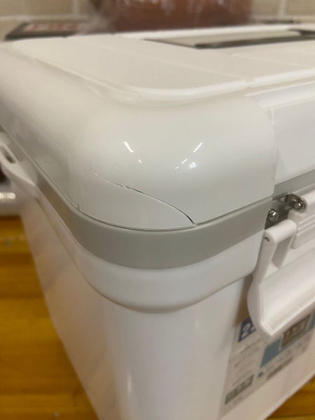 1 Термобокс SHINWA Holiday Land Cooler 22H белый (уценка)