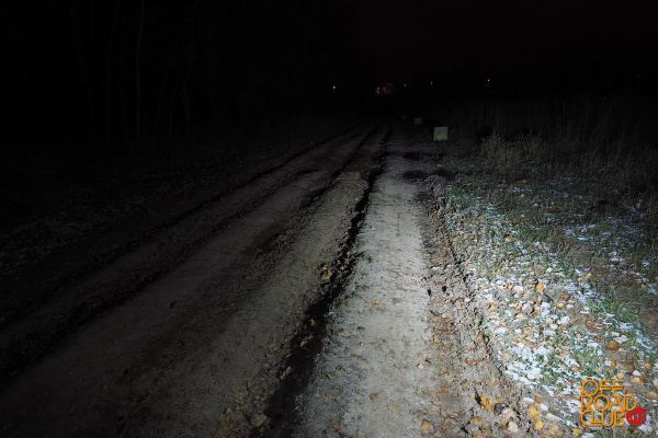 Фара водительского света РИФ 145х45х78 мм 15W LED